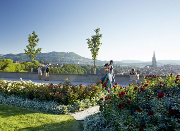 Community Building mit Social Media